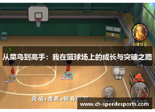 从菜鸟到高手：我在篮球场上的成长与突破之路