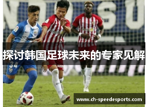 探讨韩国足球未来的专家见解