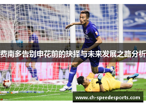费南多告别申花前的抉择与未来发展之路分析